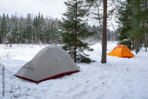 Grey and orange tents in snowy forest. Camp on winter nature