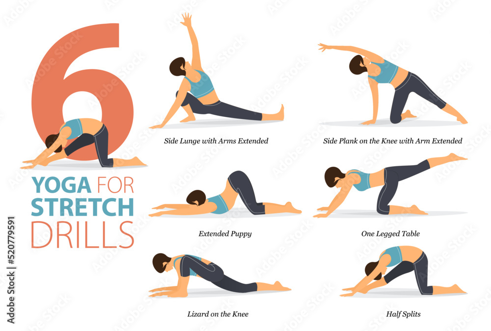 6 Yoga poses or asana posture for workout in stretch drills concept. Women exercising for body stretching. Fitness infographic. Flat cartoon vector