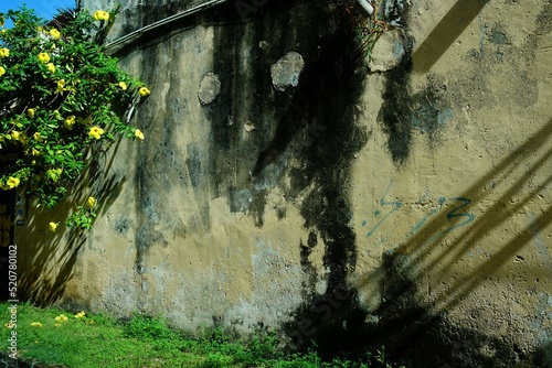 Uno sguardo in una strada di Georg Town, sul muro un qualcosa simile ad una figura , disegnata dalla natura e dagli eventi photo