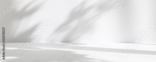 Abstract white studio background for product presentation. Empty room with shadows of window and flowers and palm leaves . 3d room with copy space. Summer concert. Blurred backdrop. Banner