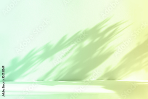 Abstract gradient green studio background for product presentation. Empty room with shadows of window and flowers and palm leaves . 3d room with copy space. Summer concert. Blurred backdrop.