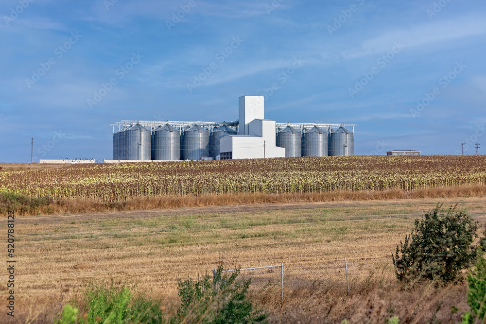 Raw material storage tanks, silo for sunflower seed oil production plant and the sunflower farm in the foreground. Sunny, partially cloudy sky. Trakya Region of Turkey.