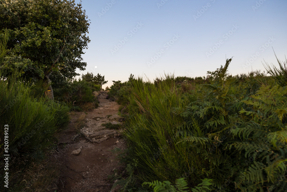 Chemin de randonnée au sommet du Mont Caroux à l'aube, avec la lune Chemin de randonnée au sommet du Mont Caroux à l'aube, avec la lune