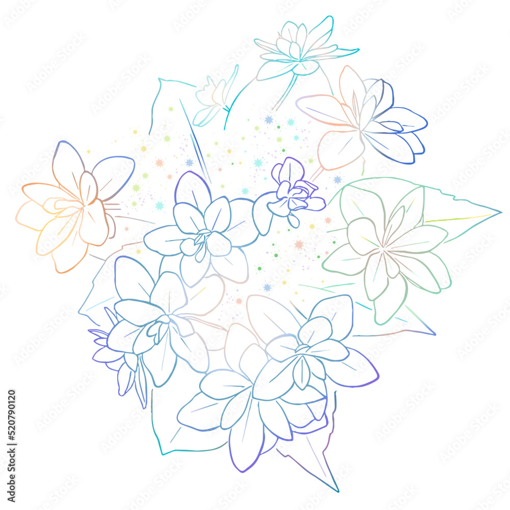 額紫陽花の線画イラスト 額紫陽花の線画イラスト