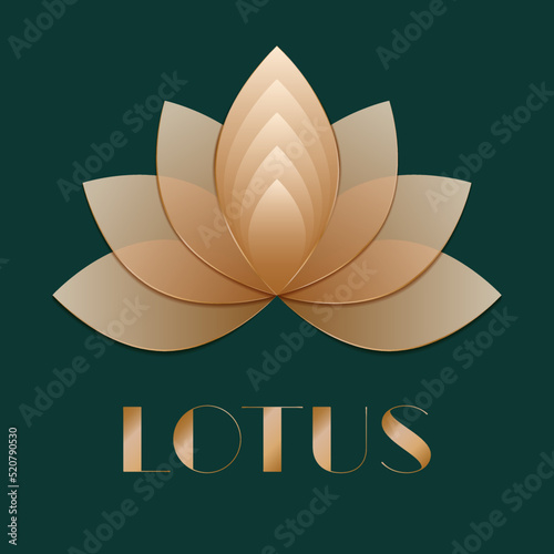 Gold Lotus flower logo, icon, greeting card on white background. Vector illustration.
