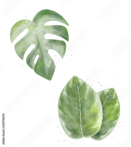 vector floral summer pattern background with tropical palm leaves. Wallpapers design, web page backgrounds, surface textures, textiles