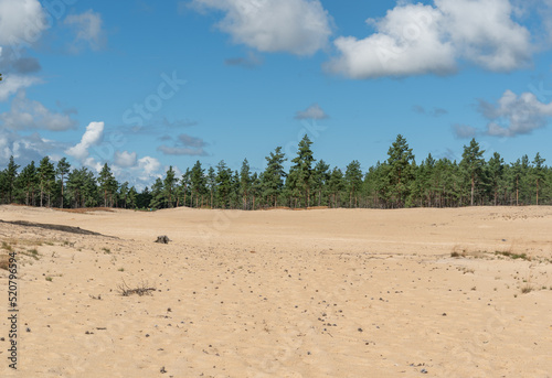 moorland in hiiumaa, estonia, europe