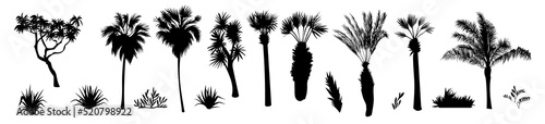 Black Palm Tree Illustration Silhouette Logo Symbol Vector