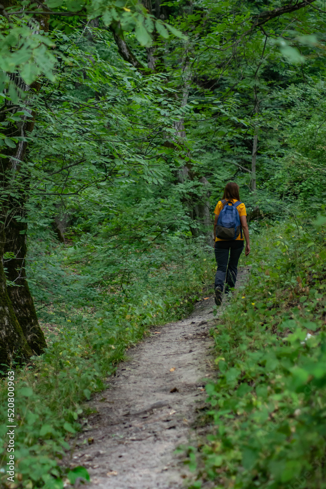 Traveler in the forest. Girl in the forest