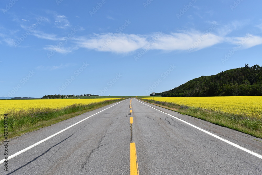 The road in summer, Québec, Canada The road in summer, Québec, Canada
