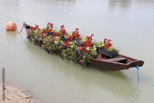 schaerding, ship, water, flowers, bloom, leaf, austria