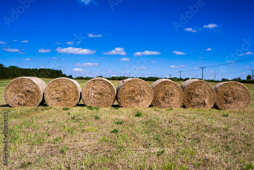 Six rolled bales of straw in field with blue sky