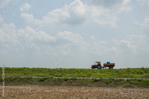 landscape with tractor in Black gram cultivating land