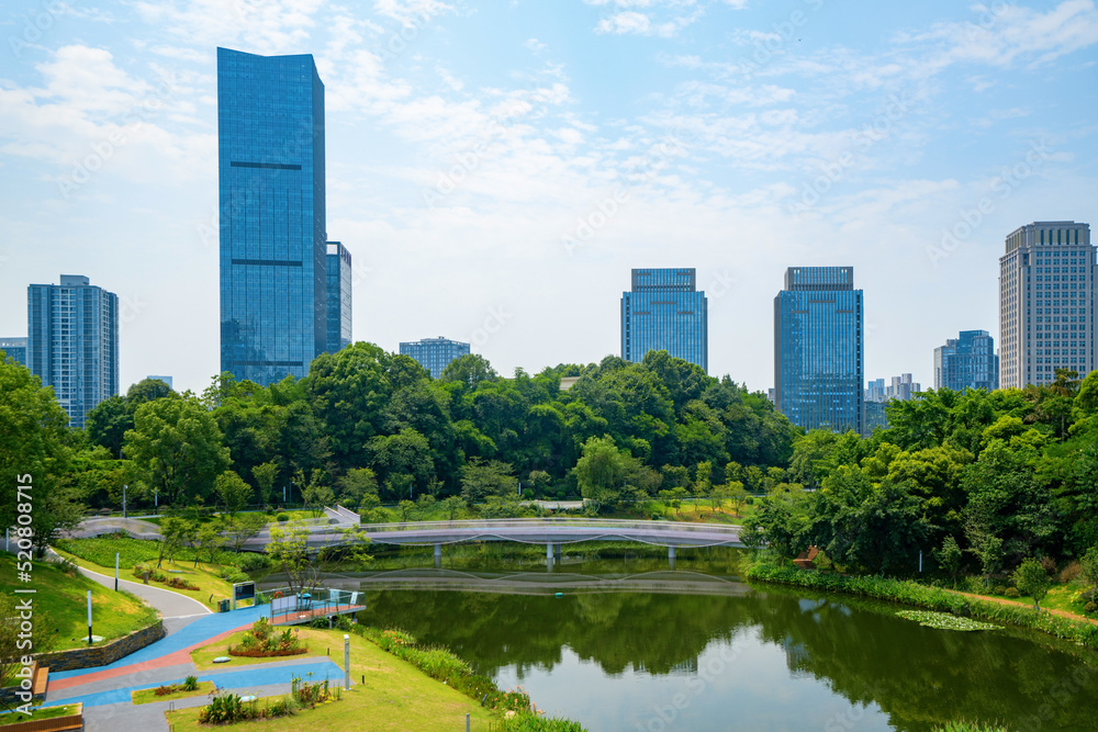 Beautiful Wetland Park and urban skyline in Chongqing, China