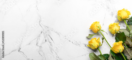 Beautiful yellow roses on l...