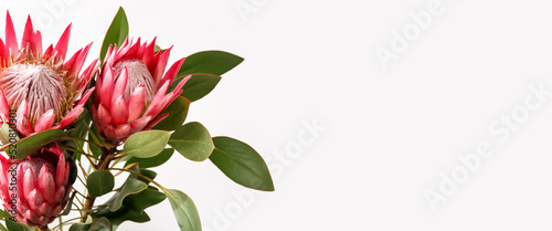 Bouquet of eautiful protea flowers on light background with space for text, closeup