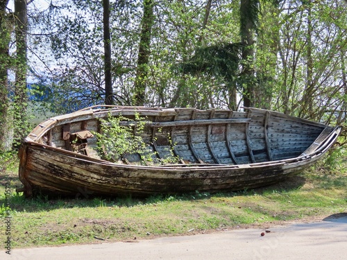 Old weathered wooden fishing boat ashore with trees growing inside