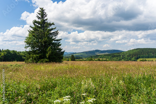 Das Naturschutzgebiet Lange Rh  n in der Kernzone des Biosph  renreservat Rh  n  Hessen  Bayern  Deutschland