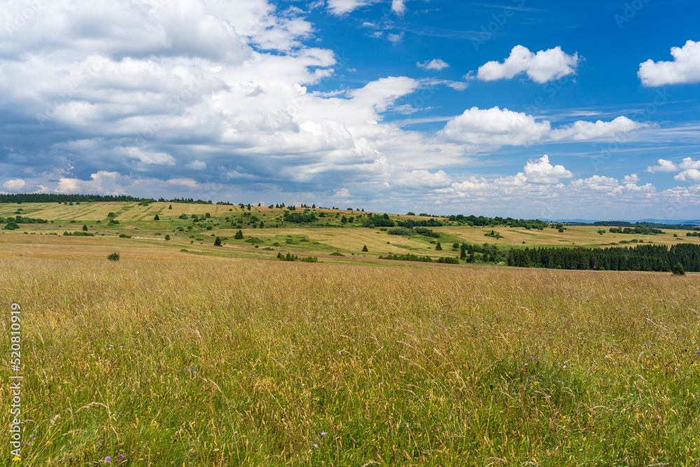 Obraz premium Das Naturschutzgebiet Lange Rhön in der Kernzone des Biosphärenreservat Rhön, Hessen, Bayern, Deutschland