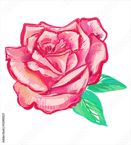 The opened rosebud. Pink rose flower. Brush strokes. Retro illustration on an isolated background. Vector.