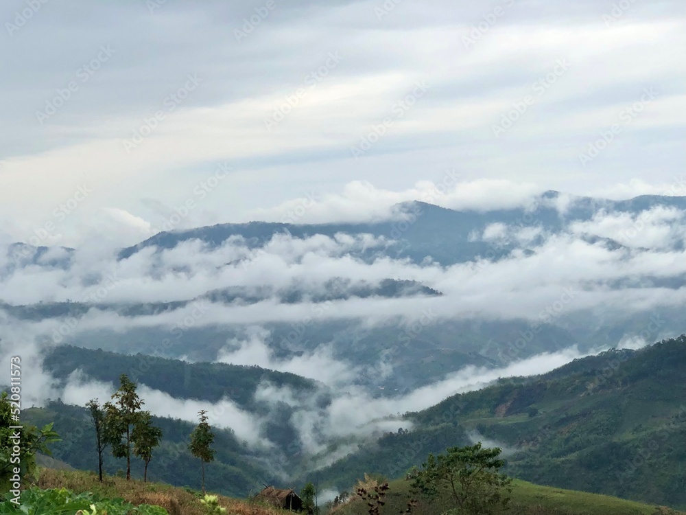 Mist in morning and green trees on mountain at Doi Chang, Chiang Rai, Thailand. Mist in morning and green trees on mountain at Doi Chang, Chiang Rai, Thailand.