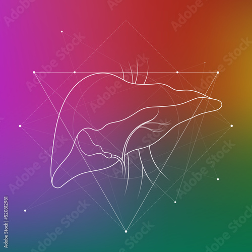 Minimal human liver and gastrointestinal system illustration on gradient. Human liver anatomy. Futuristic medical scientific vector clipart.