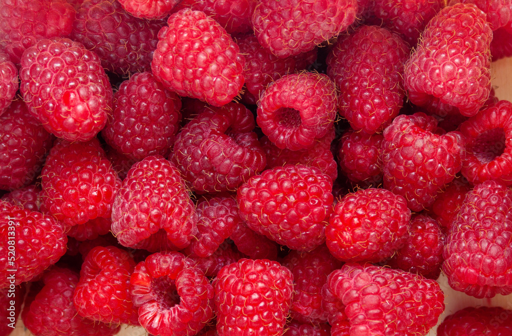 Ripe red raspberries - summer background for design Ripe red raspberries - summer background for design