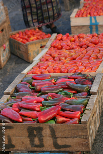 Peppers and Tomatos 