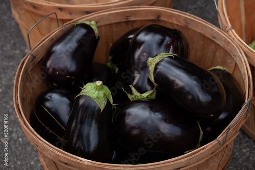 Eggplant