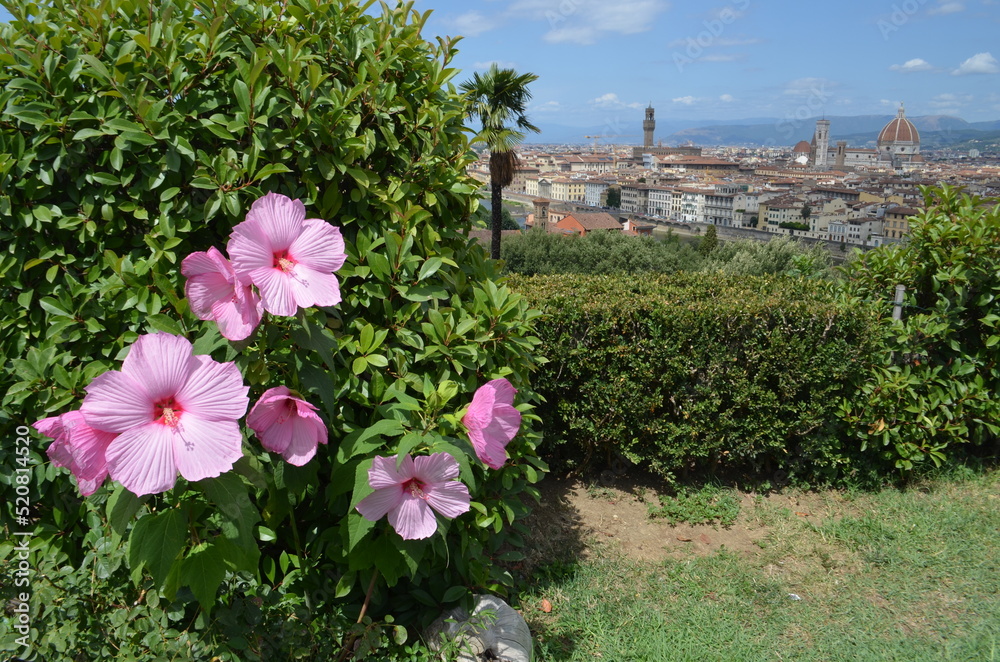Fototapeta premium Florence in the garden