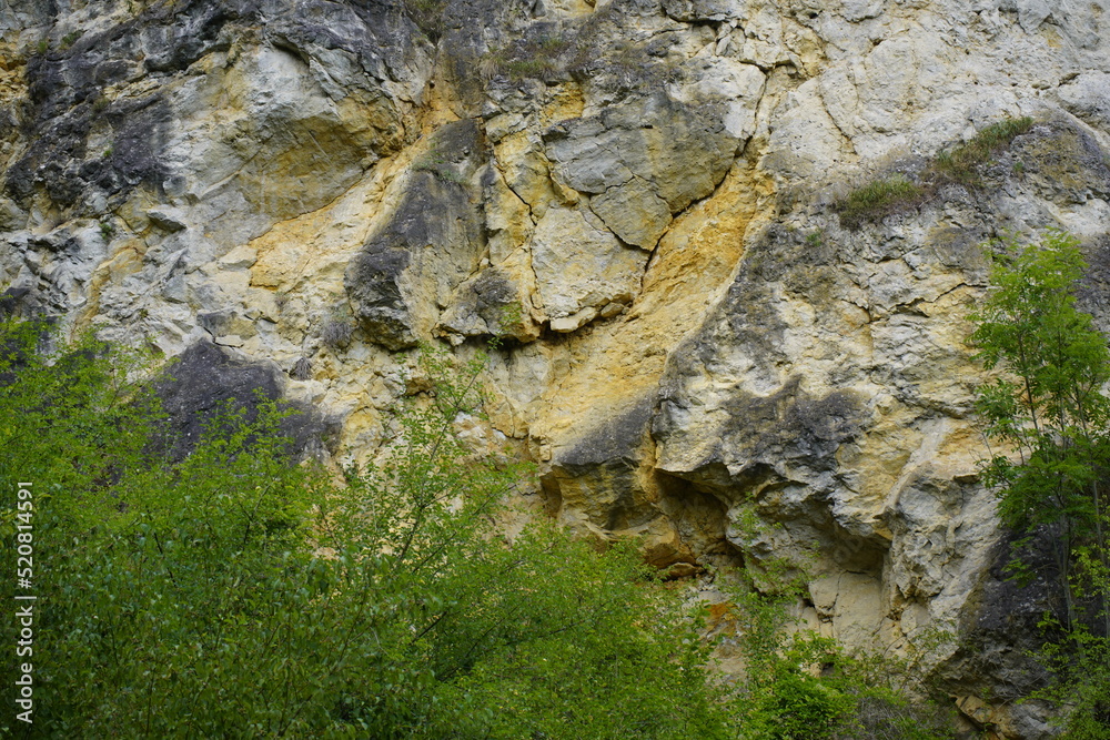 The Kelheim limestone, also called Auerkalkstein, is a limestone.This limestone was created in the Upper Jura (Malm). Bavaria, Germany The Kelheim limestone, also called Auerkalkstein, is a limestone.This limestone was created in the Upper Jura (Malm). Bavaria, Germany
