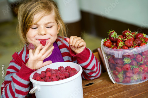 Portrait of happy little preschool girl eating healthy strawberries and raspberries. Smiling child with ripe berries from garden or field. Healthy food for children, kids.