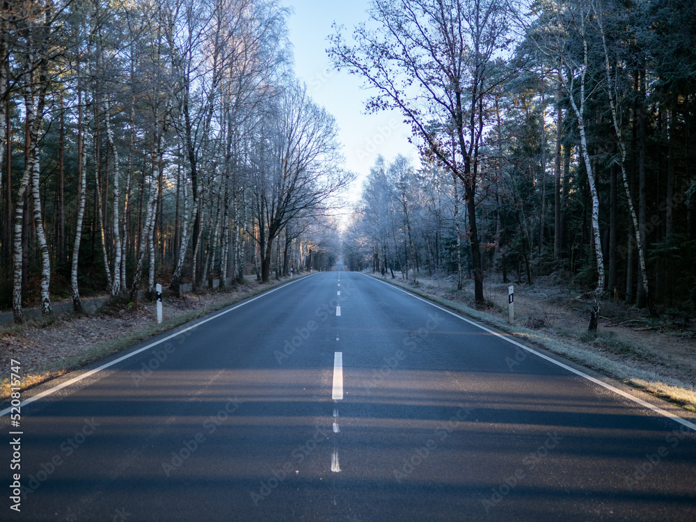 Fototapeta premium Landstraße im Winter