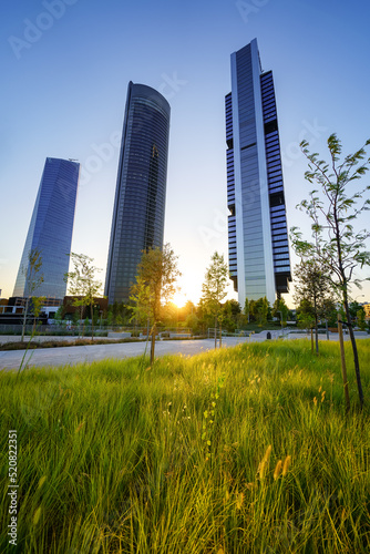 Skyscrapers of business offices in Madrid at dawn on a sunny day with grass park in front, Spain.