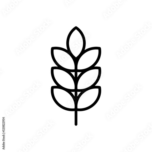 grain, wheat, rye, barley - vector icon