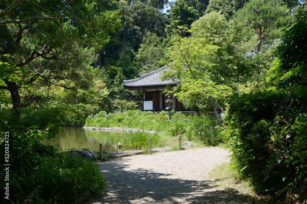 浄瑠璃寺 本堂遠望 京都府木津川市 浄瑠璃寺 本堂遠望 京都府木津川市