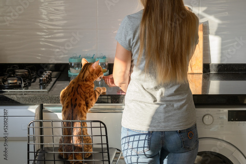 A young woman gives a treat to a cat at a table in the kitchen.