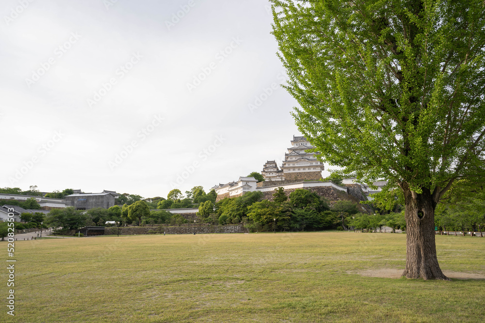 姫路城手前の公園から天守閣を眺める