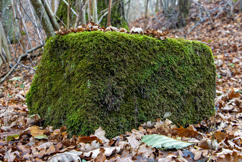 Stone block overgrown with green moss covered with fallen leaves in the autumn forest