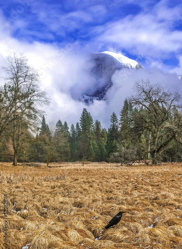 landscape in the mountains