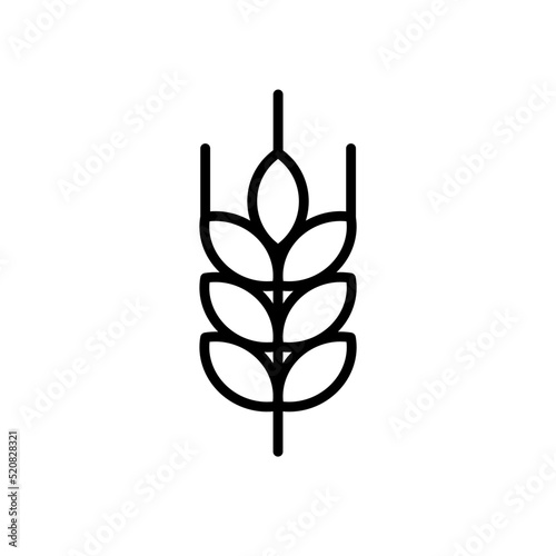  grain, wheat, rye, barley - vector icon