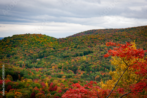 Québec in Fall form the sky