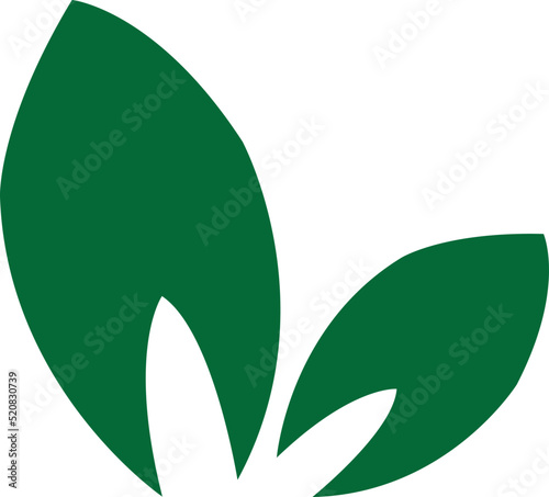 leaf icon. plant icon vector