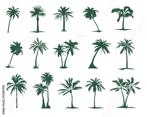 A set of silhouettes of Palm trees. Tropical palm tree silhouette for your art