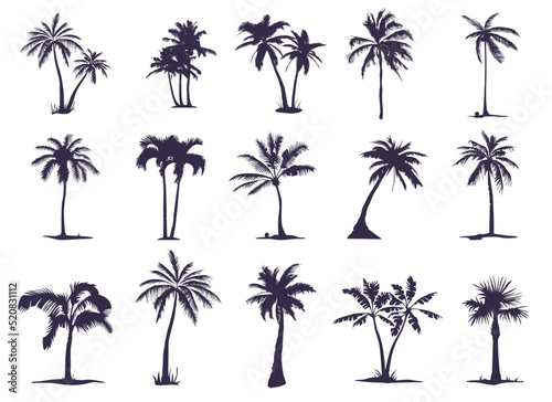 A large set of silhouettes of Palm trees. Palm tree silhouette for your needs and art