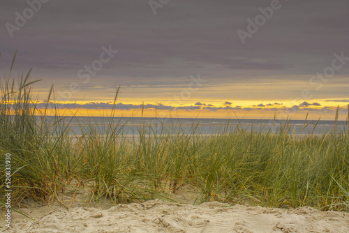 Beautiful sunset in the dunes