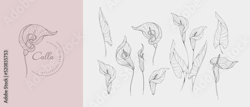 Foto Set of luxury flowers and logo