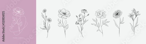 Set of luxury flowers and logo. Trendy botanical elements. Hand drawn line leaves branches and blooming. Wedding elegant wildflowers for invitation save the date card. Vector