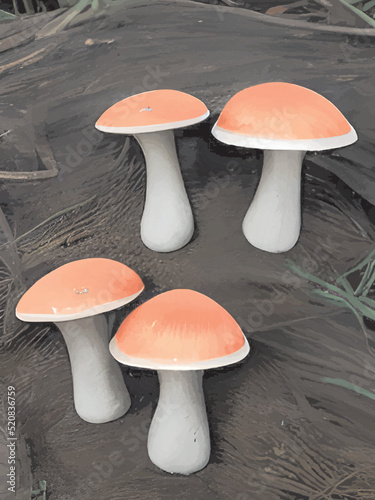 mushrooms on a dark background