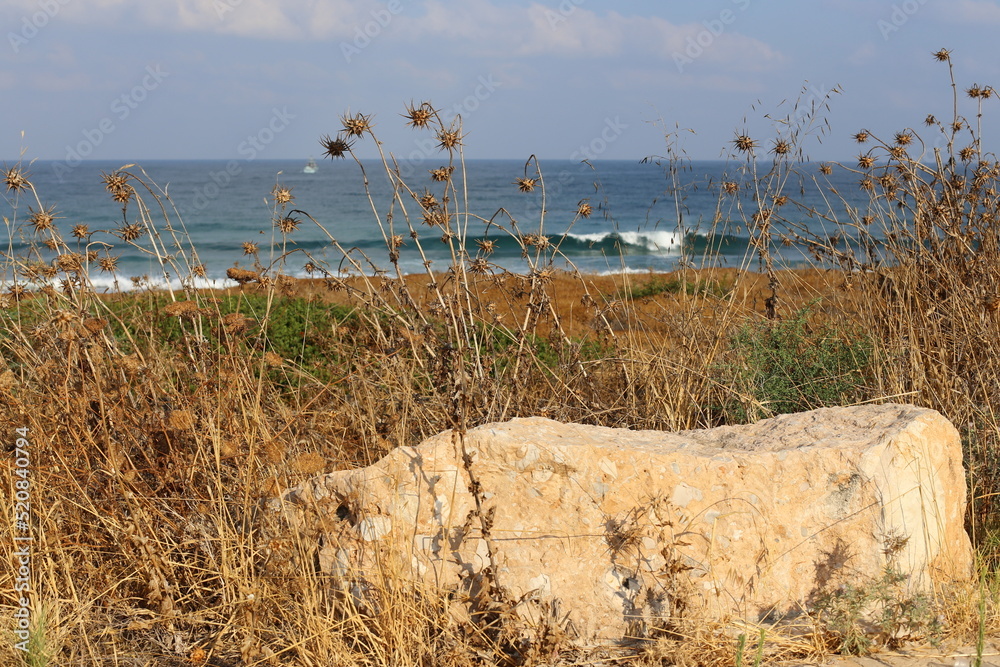 Natural landscape in northern Israel.